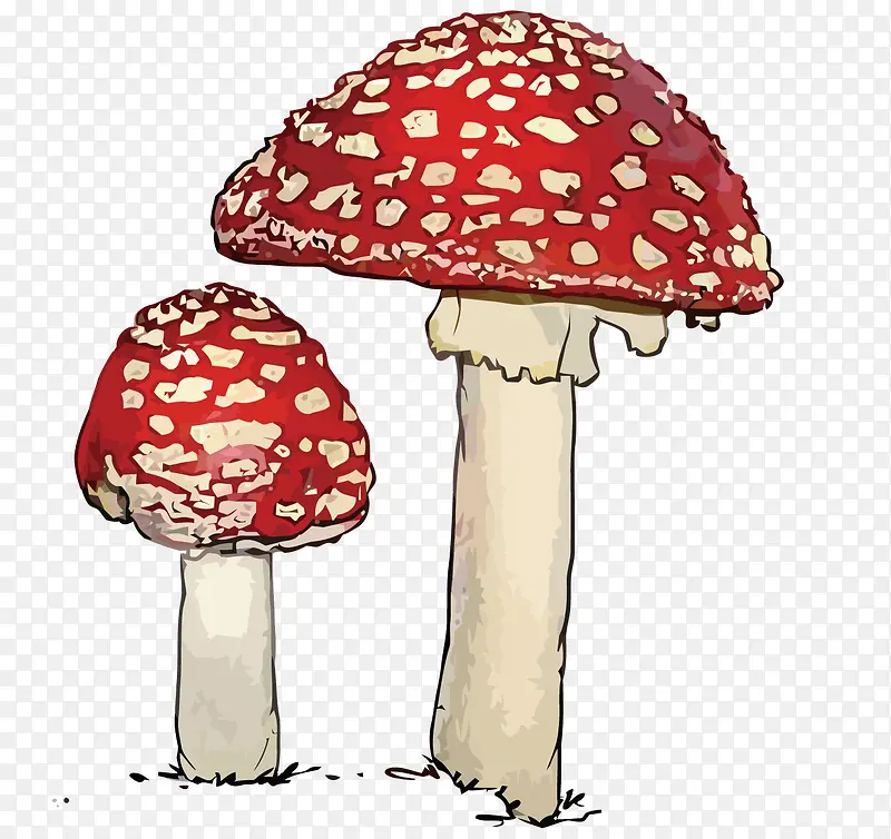 ʸ��Ģ��-������