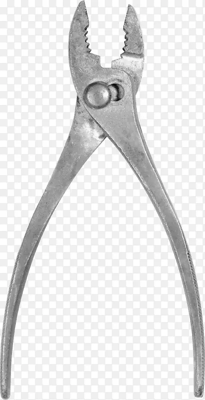 ����ɫǯ��-������