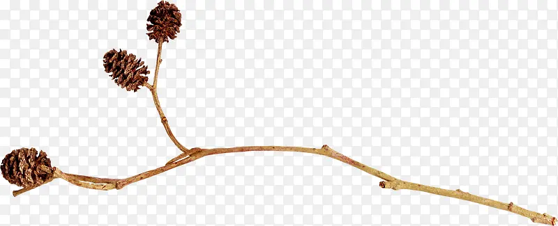 ��ɫ�ɹ�-������