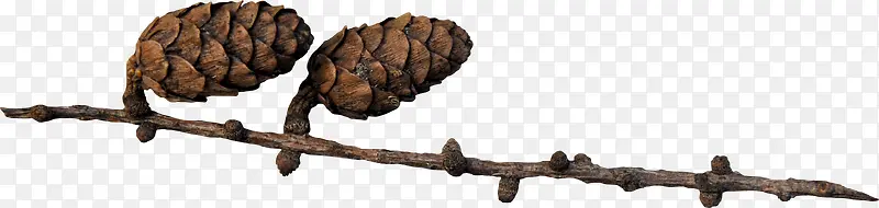 ��ɫ��֦�ɹ�-������