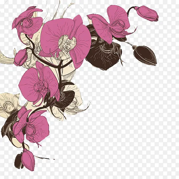 ǣţ���廭-������