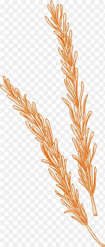 ������ʳ������-������