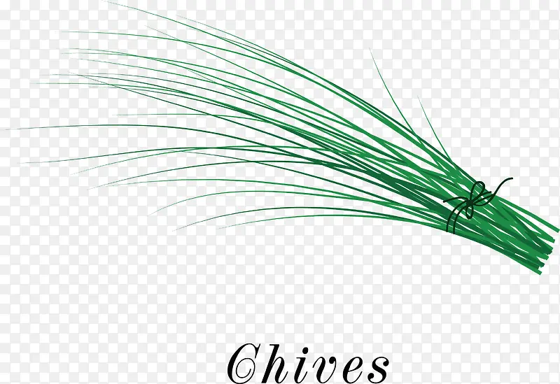 һ���̲�ʸ��-������