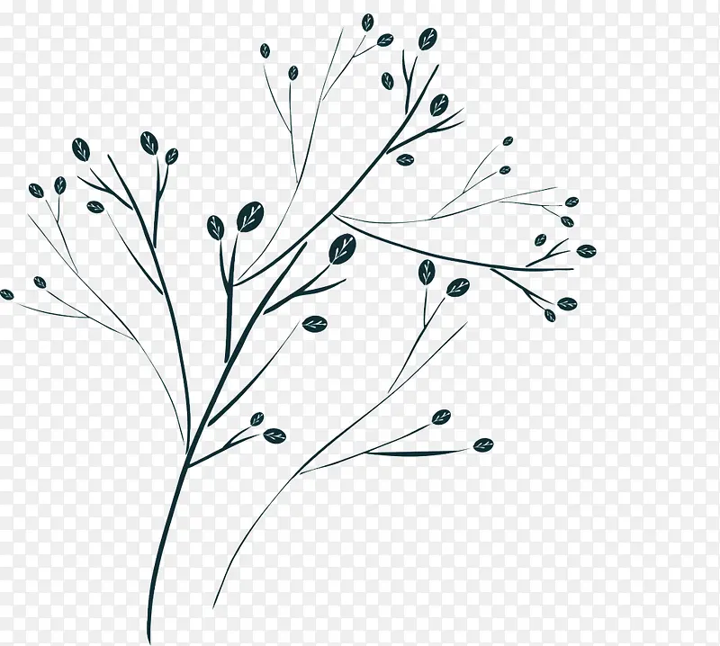 ��֦��ʻ�-������