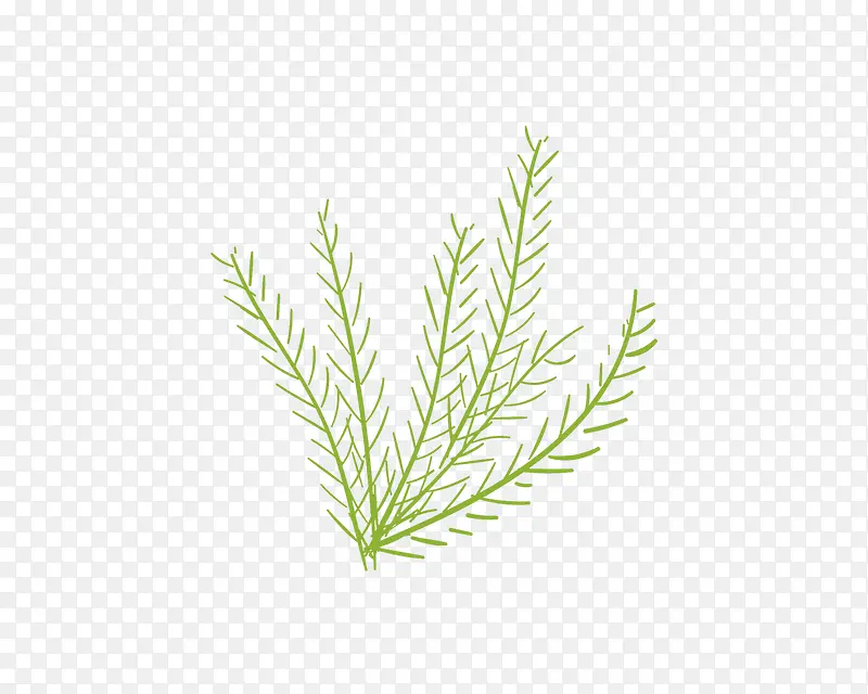 ��֦С�ݼ�ʻ�-������