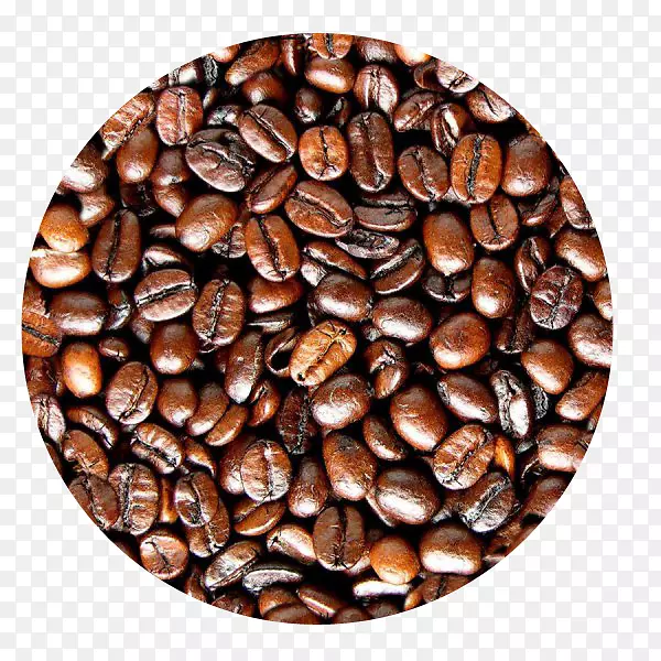 ���ȶ���Ũ���ȶ�-������