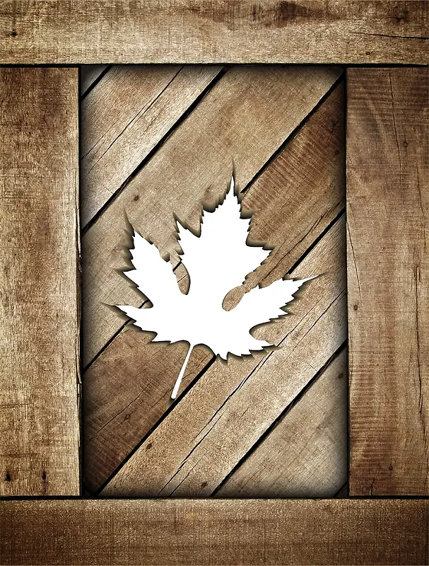 ľ�屳��-������