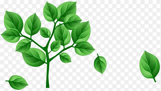 ������ɫ����С��-������