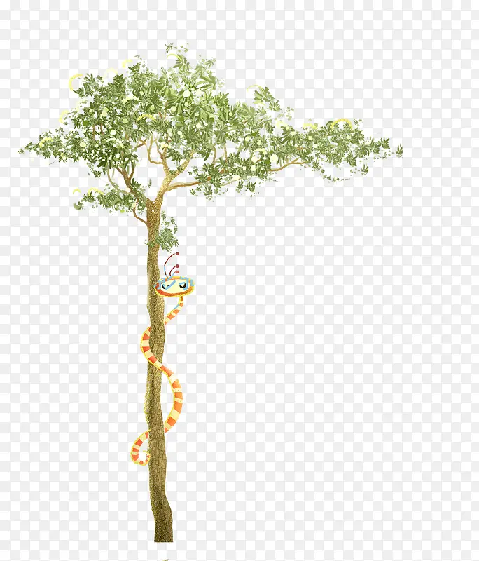 ��ͨ����С��-������