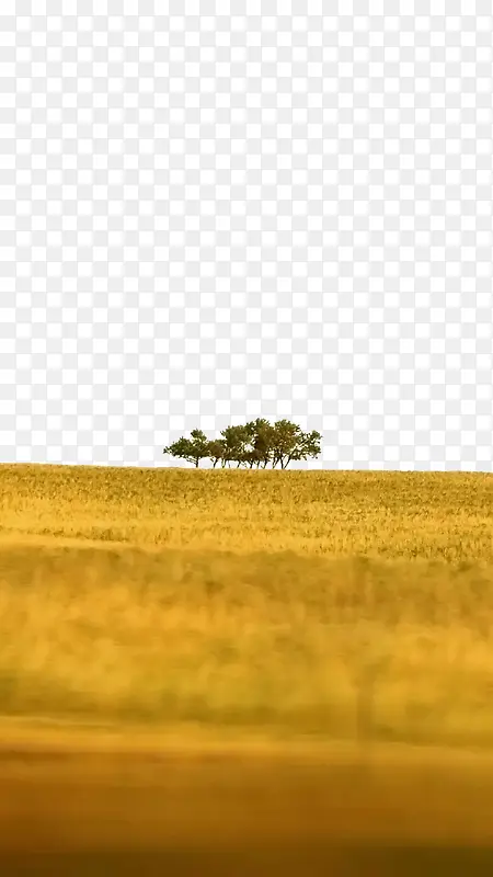 �����ԭ�ļ�����-������