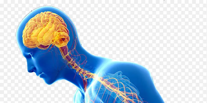 ������ϵͳ���񾭼���-������