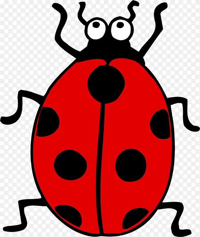 ����ư��-������