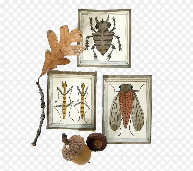 ��ͨ����е�����-������