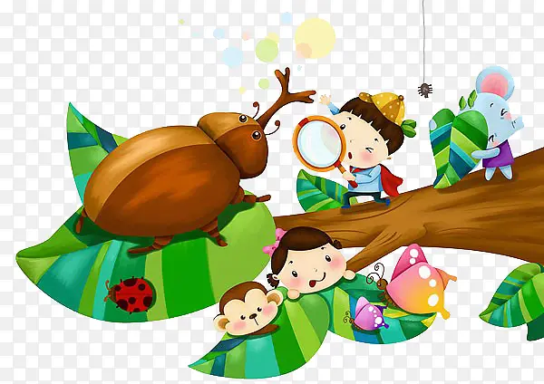 �����ǹ۲�-������