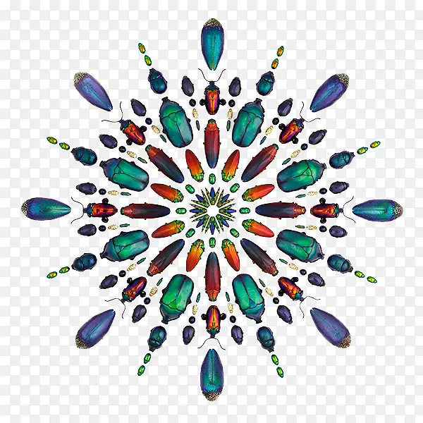 ��ɫ�׿ǳ�-������