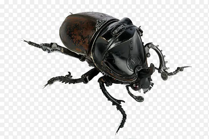 ��ɫ�׿ǳ�-������