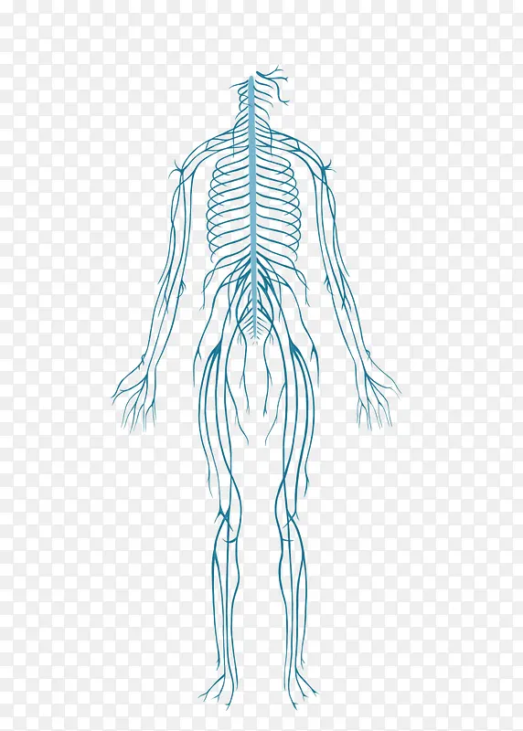 ����������ϵͳ�ṹʾ��ͼ-������