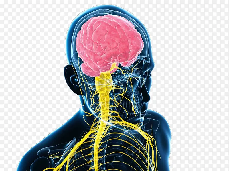 ����ϵͳ������ʾ��ͼ-������