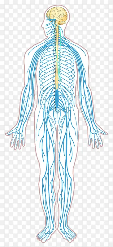 ������ϵͳ�ṹʾ��ͼ-������