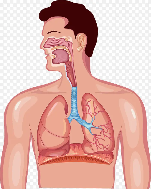 ����ϵͳ���-������