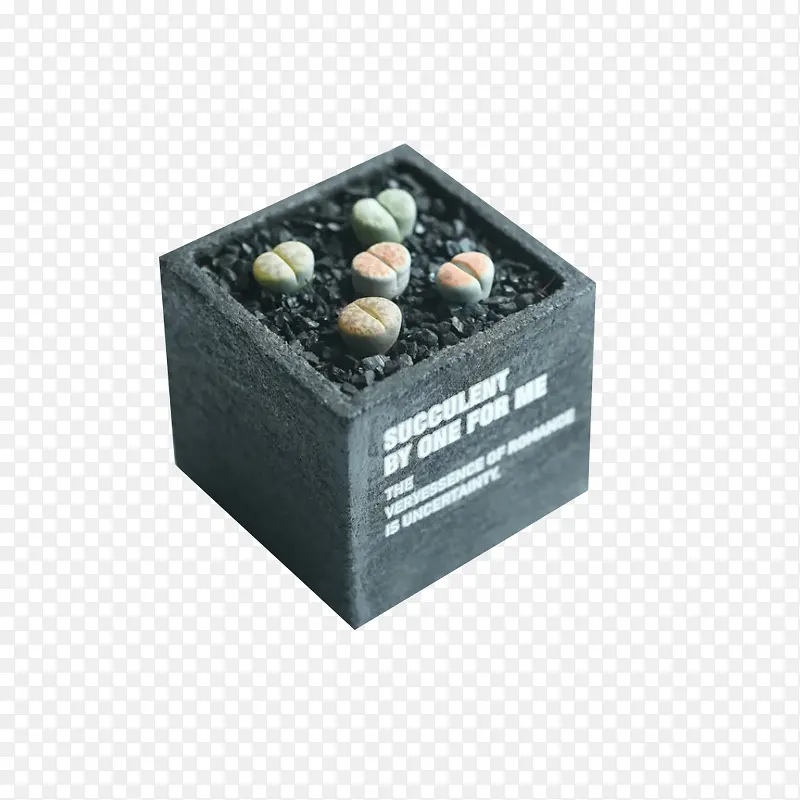 ʯ�������-������