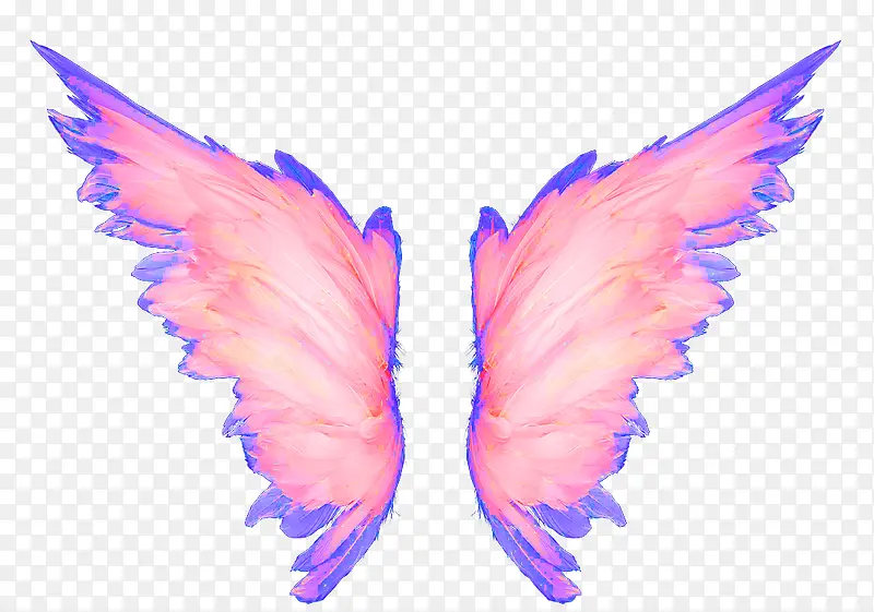 �ֻ��ɫ���-������