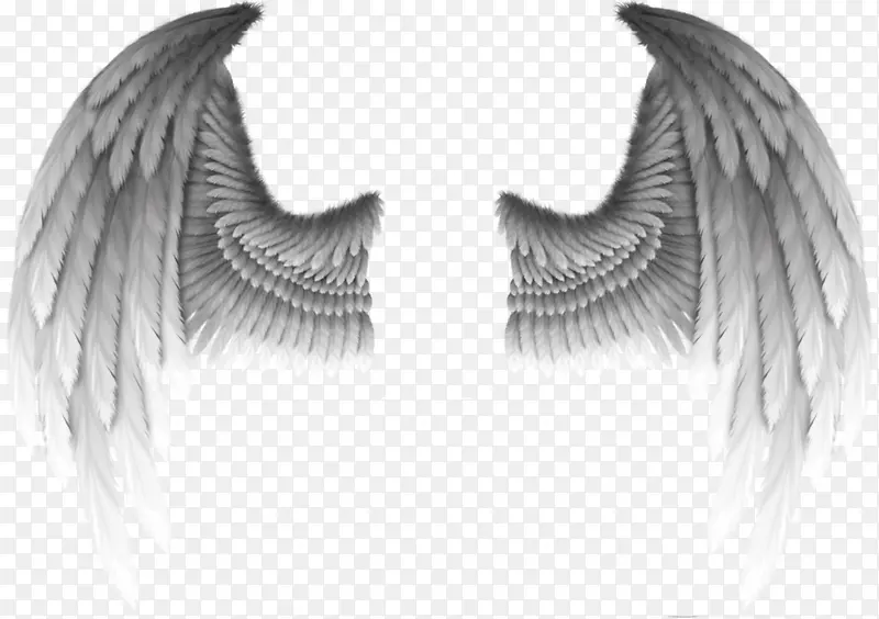 ��ħ�ĳ��-������