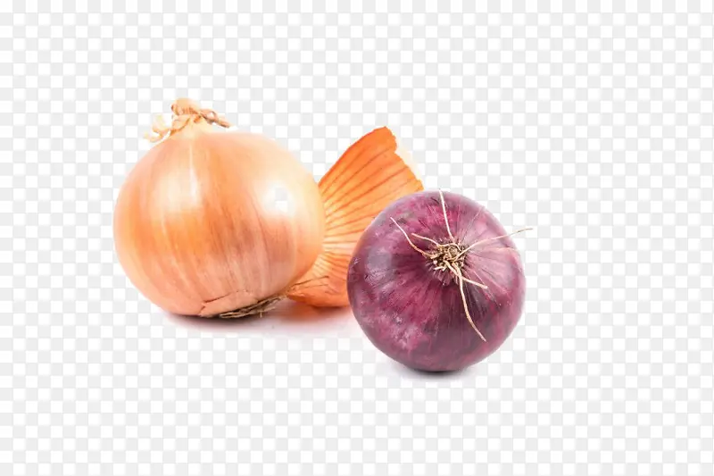 �������ʳ��ʳ���ز�-������