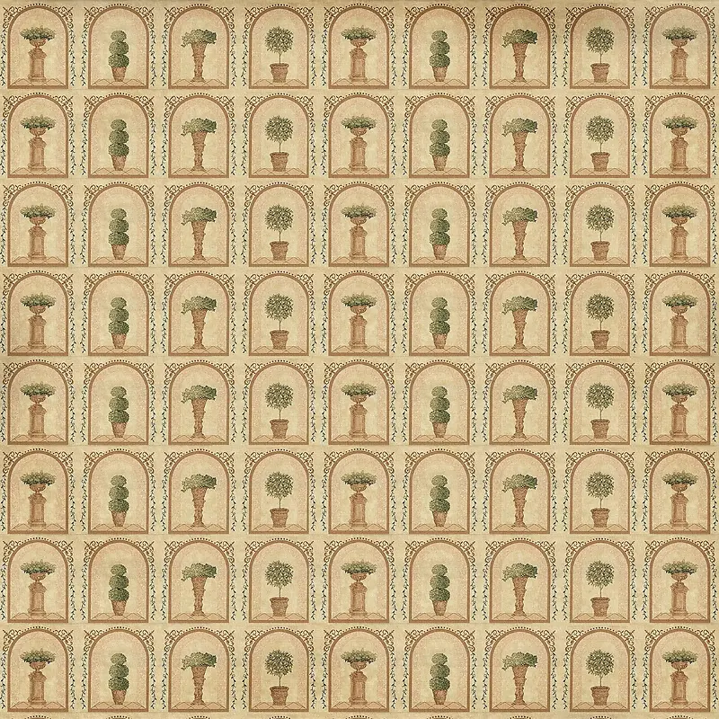 ���ɻ��豳��-������