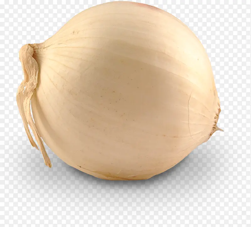 ʳ��Բ��-������