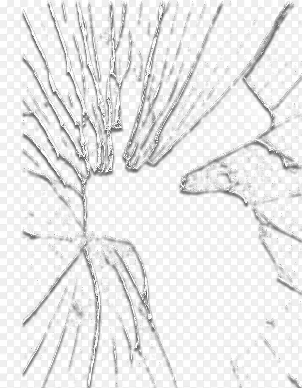 ��������Ч��-������