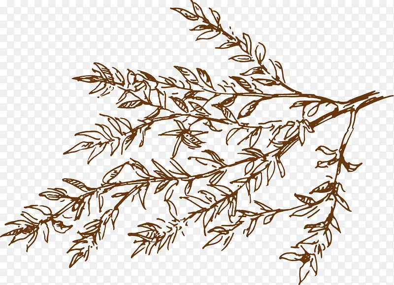 �ֻ���֦-������