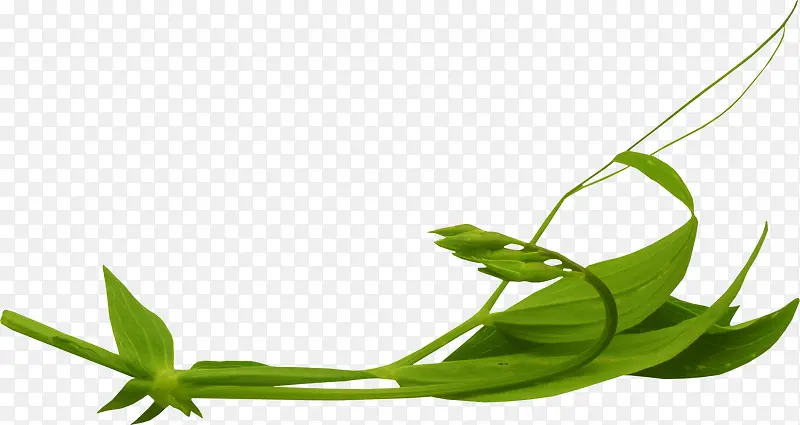 �ֻ滨���زĻ���ʸ���ز� ����-������