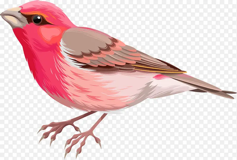 �ֻ�ˮ��С��-������