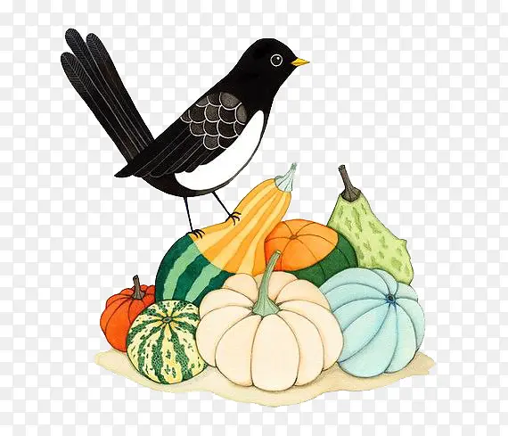 �ֻ涯�����Ԫ��-������