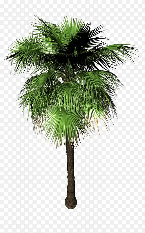 ��ɫ����-������