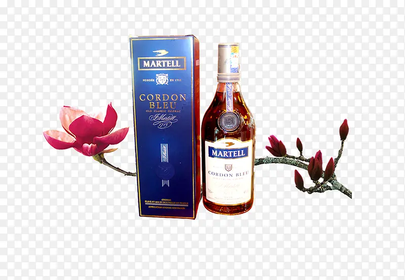 ��ư�װ��Ӱ-������