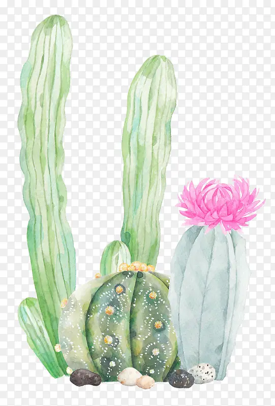 �ɰ���������������װ�κ������-������