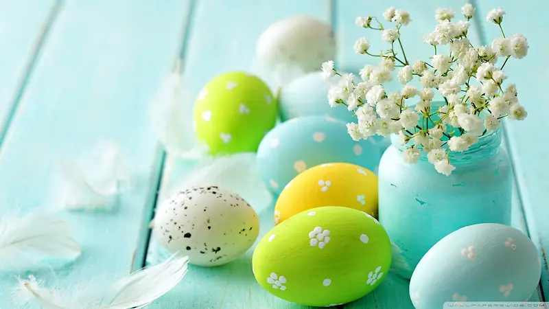 ��ɫ�����������-������