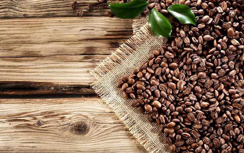 ���ȶ���Ӱ�������-������