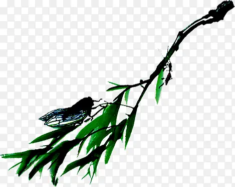 ��ɫ���ղ�������-������