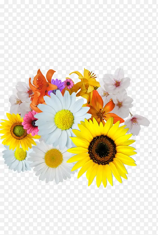 ��ɫ����-������