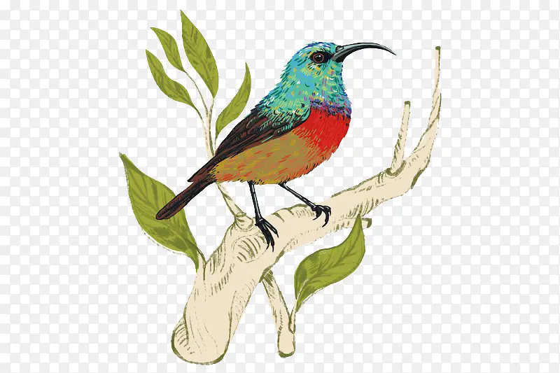 վ����֦�ϵ����-������