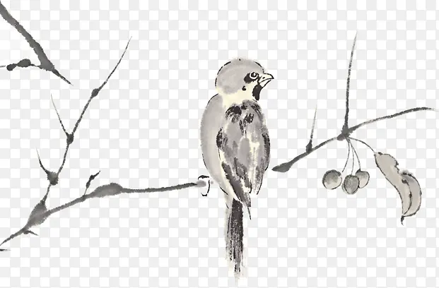 С������֦������ز�-������