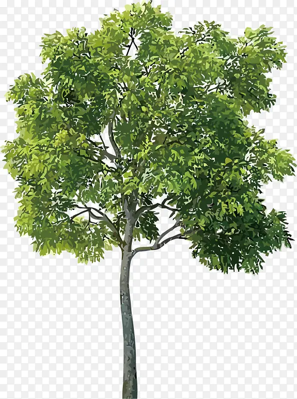 ʸ����-������