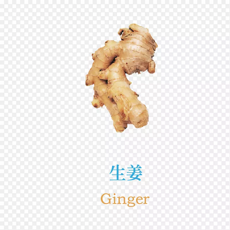 ��֢ʳƷ���������������߲�-����-������