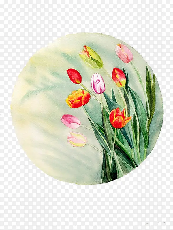 ��ɫ������-������