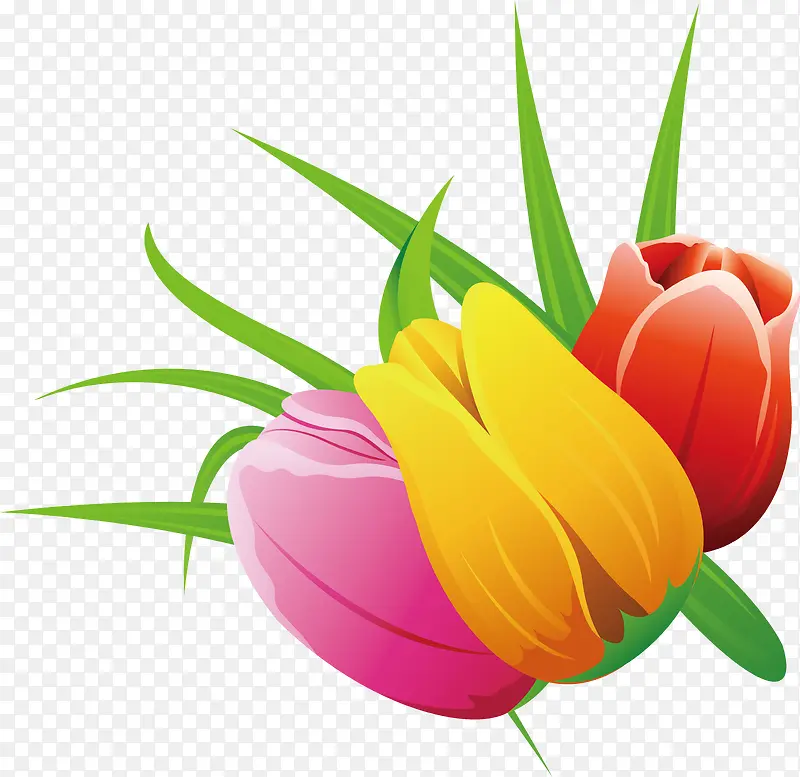 ��ɫ������-������