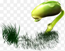 ��ѿ-������