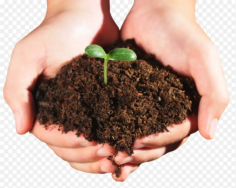 ��������-������